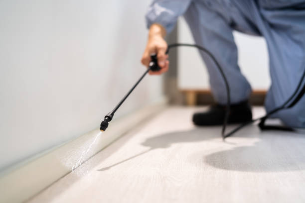 Licensed Pest Control service in Oak Hill, FL - Show Me Pest Control