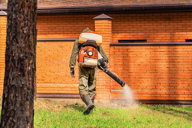Bed Bug Clearance Verification and Documentation in Oak Hill